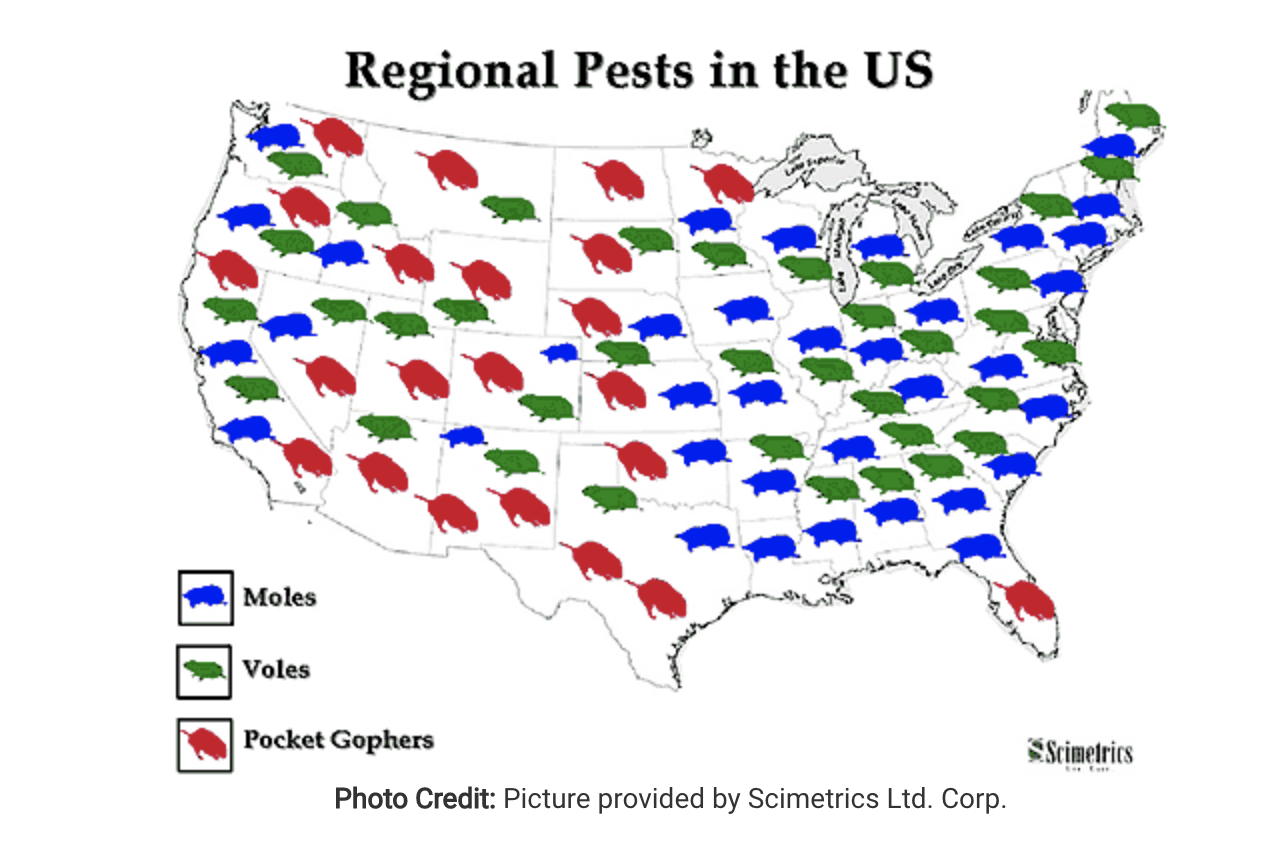 Moles vs gophers vs voles